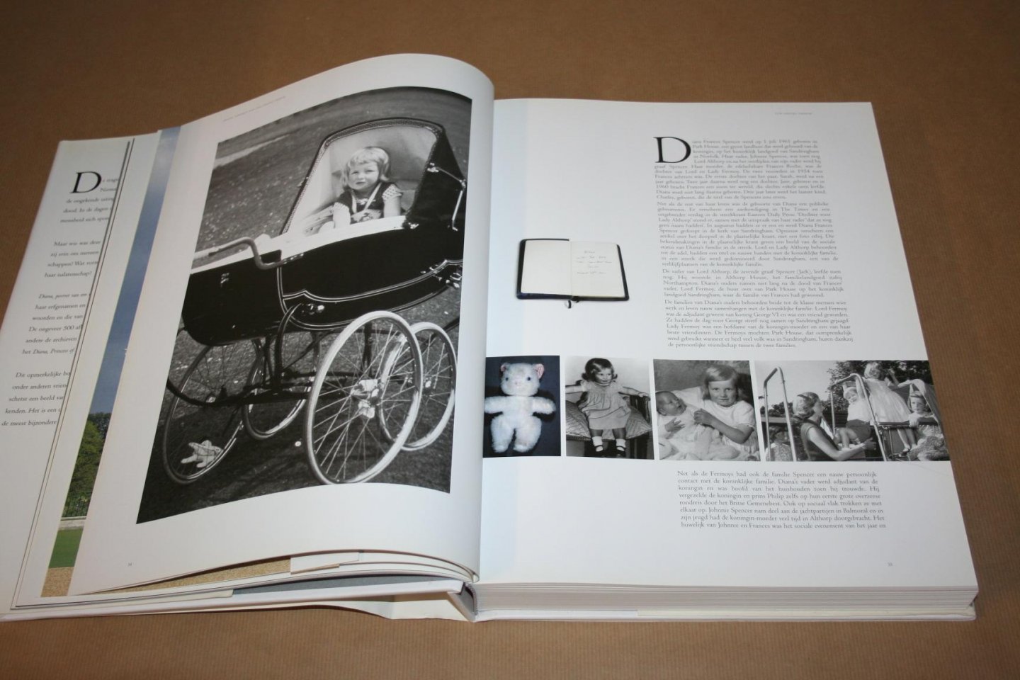 Rosalind Coward - Diana, portret van een unieke vrouw