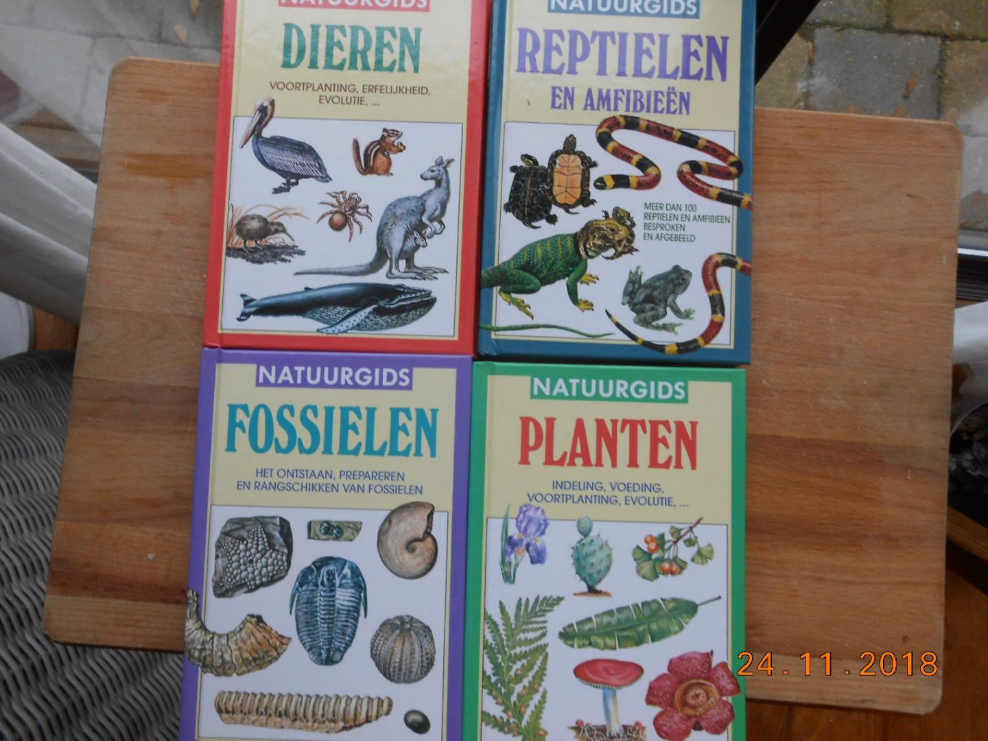 Burnett - Natuurgids dieren /Reptielen /fossielen /planten