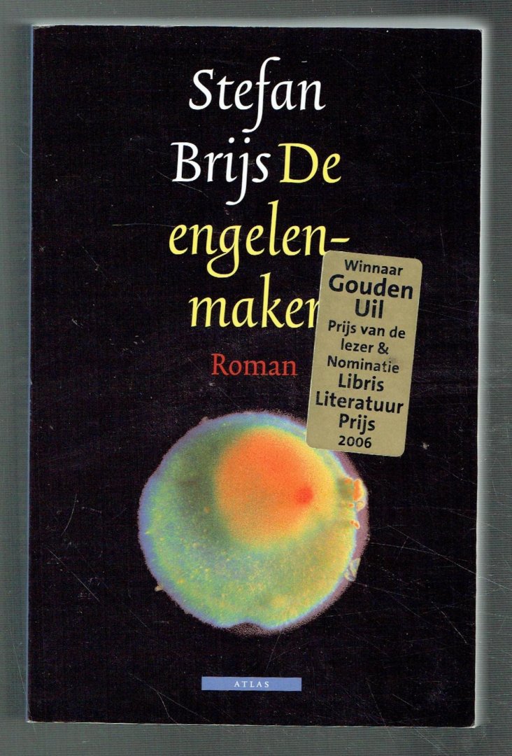 Brijs, Stefan - De engelenmaker