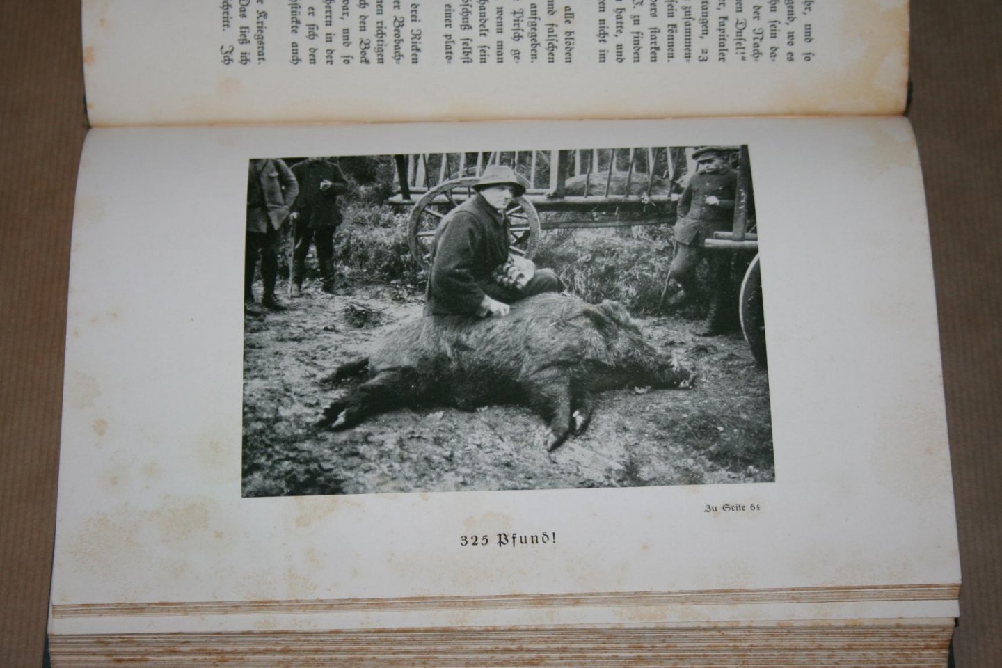 D. Caminneci - Diana, Hubertus und Ich