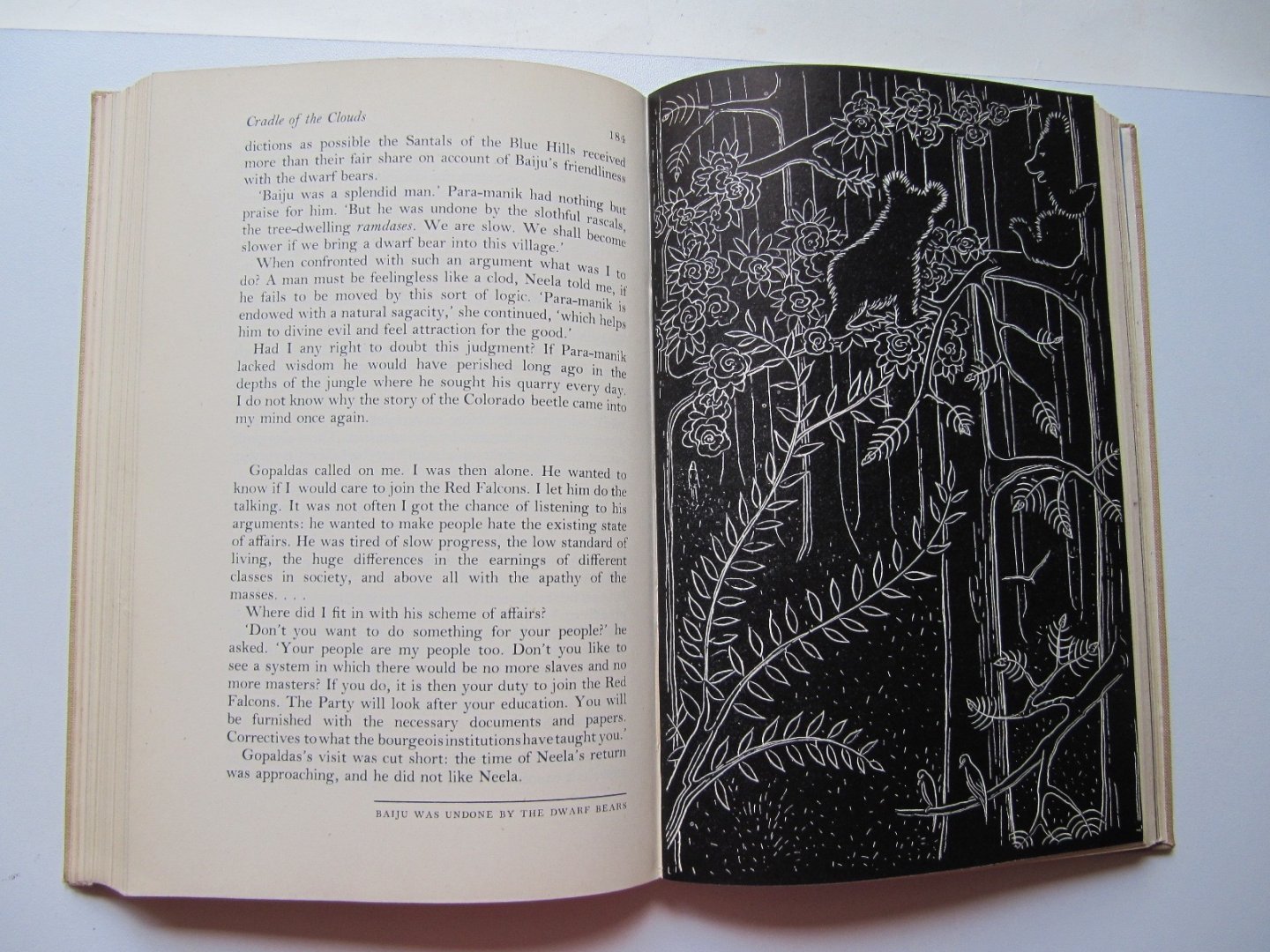 Sudhin N. Ghose - Cradle of the Clouds