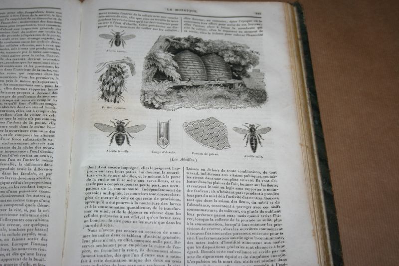  - La Mosaïque -- Livre de tout le monde -- 1835 - 1836  (derde jaargang)