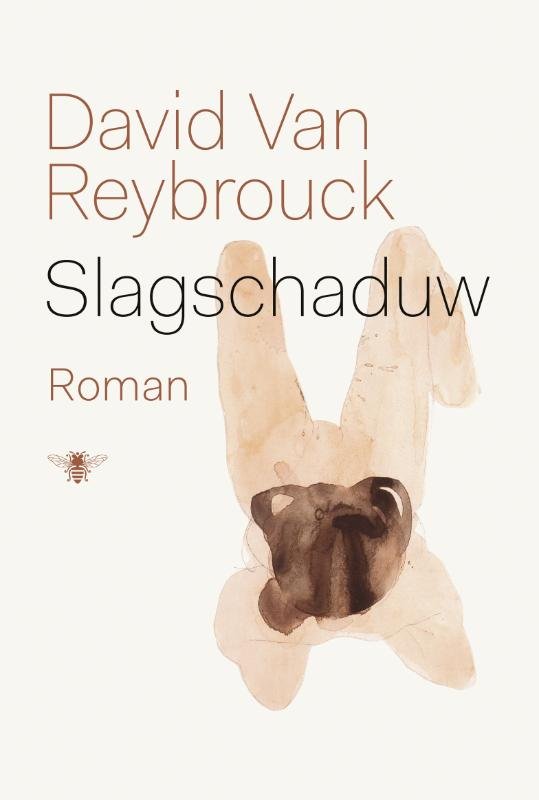 David van Reybrouck - Slagschaduw