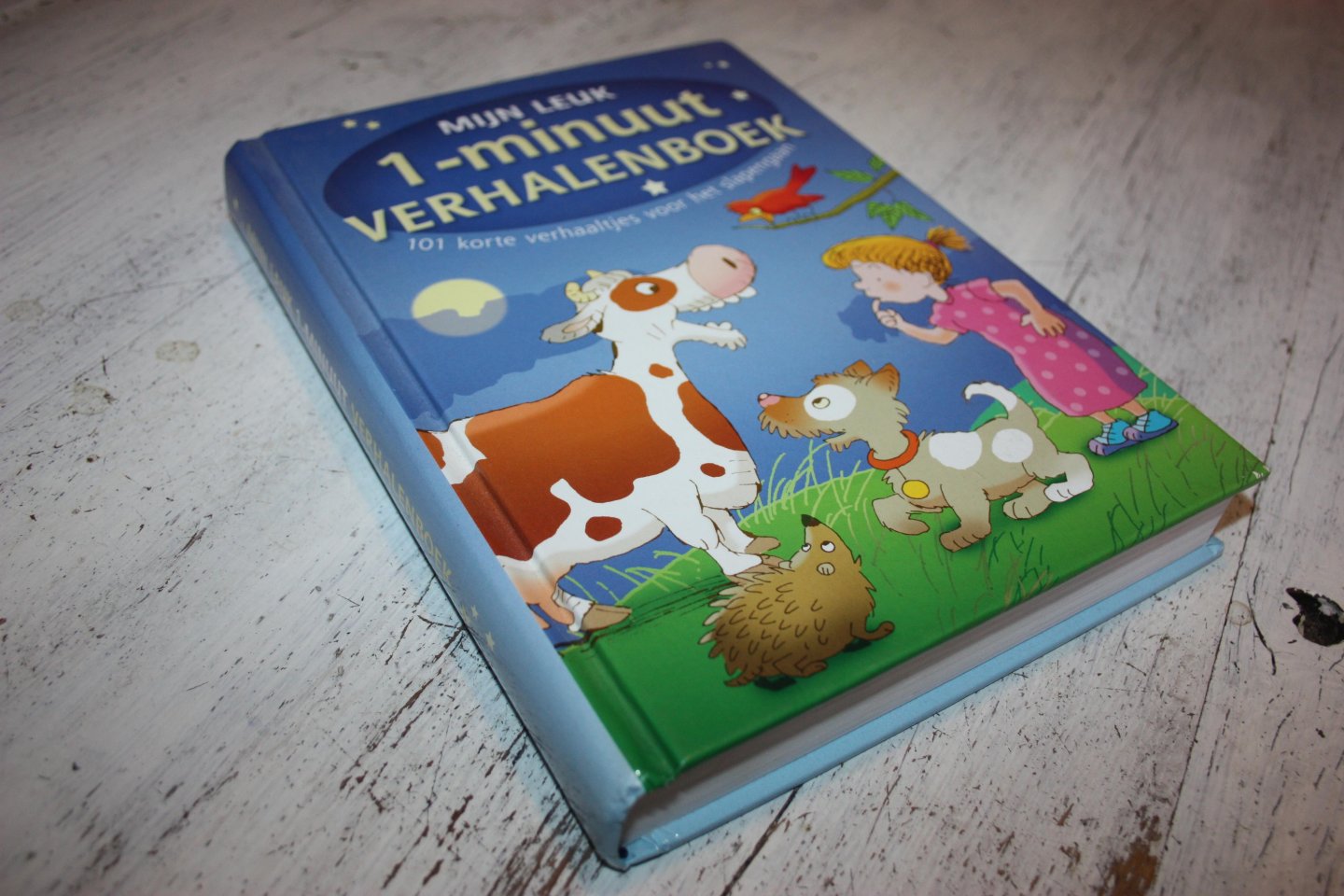 Mieghem, Linda van en Vught, Hetty van - Mijn leuk 1-MINUUT verhalenboek