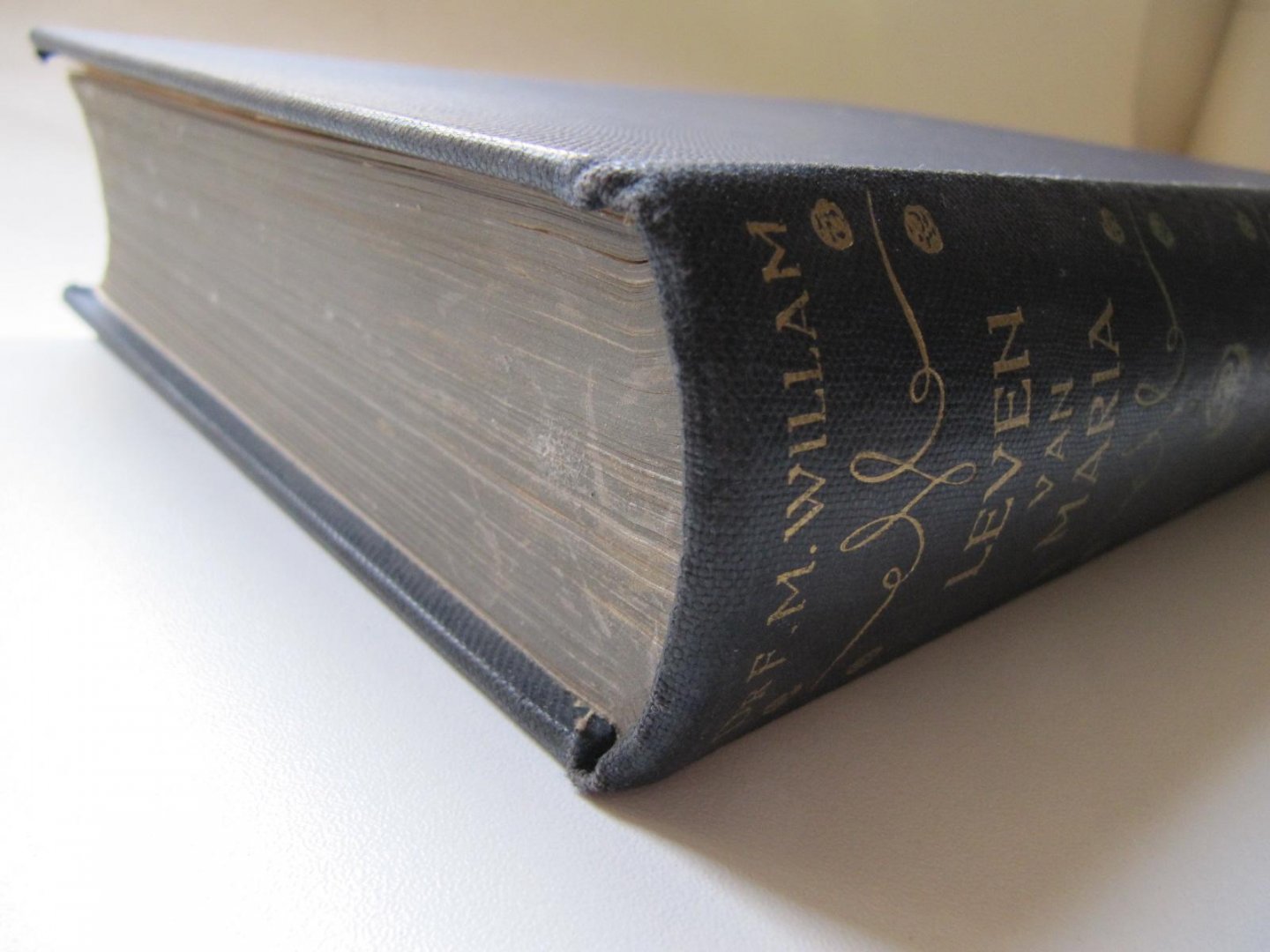 Dr. F. M. William - Leven van Maria (het leven van/ moeder van Jezus)