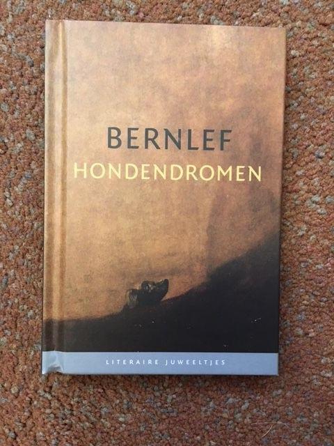 Bernlef, J. - Hondendromen