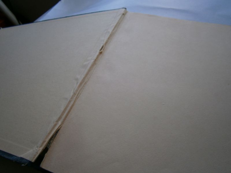 Wilvoort, Hans van - Vliegende Hollanders