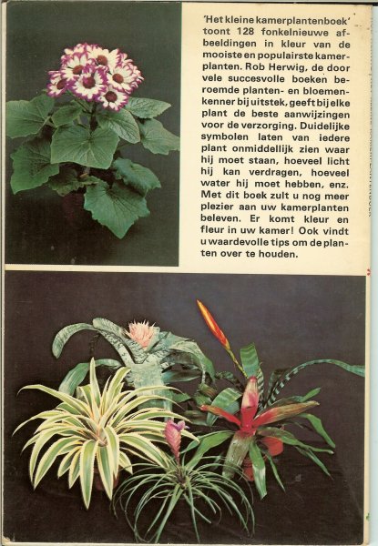 Herwig, Rob .. Met vele schitterende kleuren illustraties - Het kleine kamer planten boek .. Met 128 planten in kleur en 12 zwart wit foto's