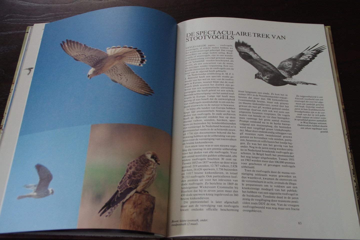 Jaap Taapken - Trekvogels