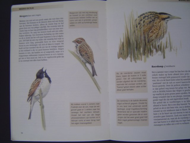 Haan, Nico de - Ja, Natuurlijk in vogelvlucht