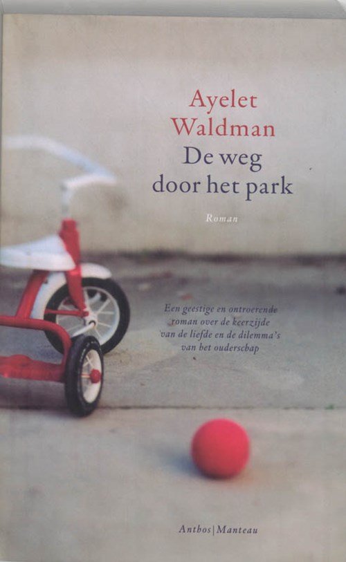 Ayelet Waldman - De weg door het park