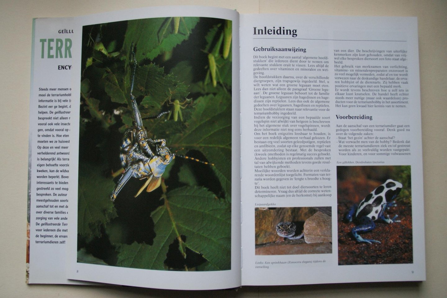 Bruins, Eugene - Geillustreerde Terrarium Encyclopedie reptielen, amfibieen, spinnen, insecten- overzichtelijk per soort gerangschikt  Alles Over VOEDING, HUISVESTING, BEHANDELING, ZIEKTEN, Zelf Kweken