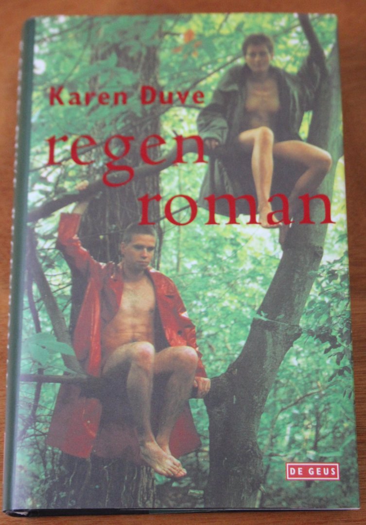 Duve, K. - Regenroman