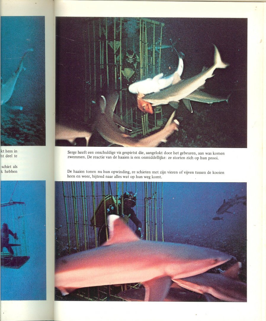 Cousteau, Jacques-Ives en Philippe Diole  Cousteau vertaling van F. Lancel - Haaien roofridders van de oceanen. De ontdekkingreizen onder de zeespiegel