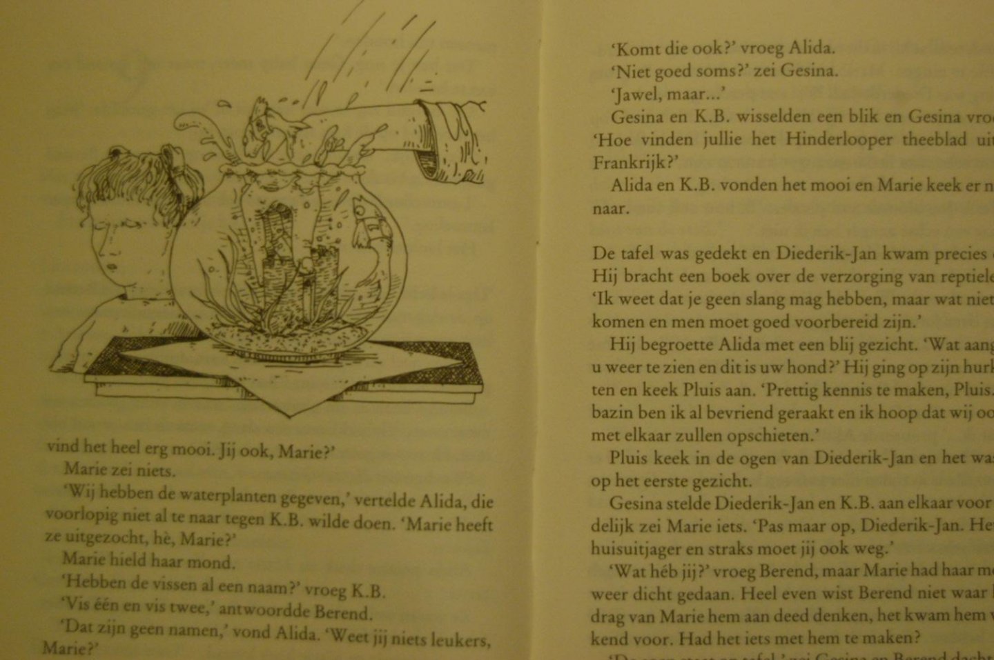 Hazelhoff, Veronica - Heibel