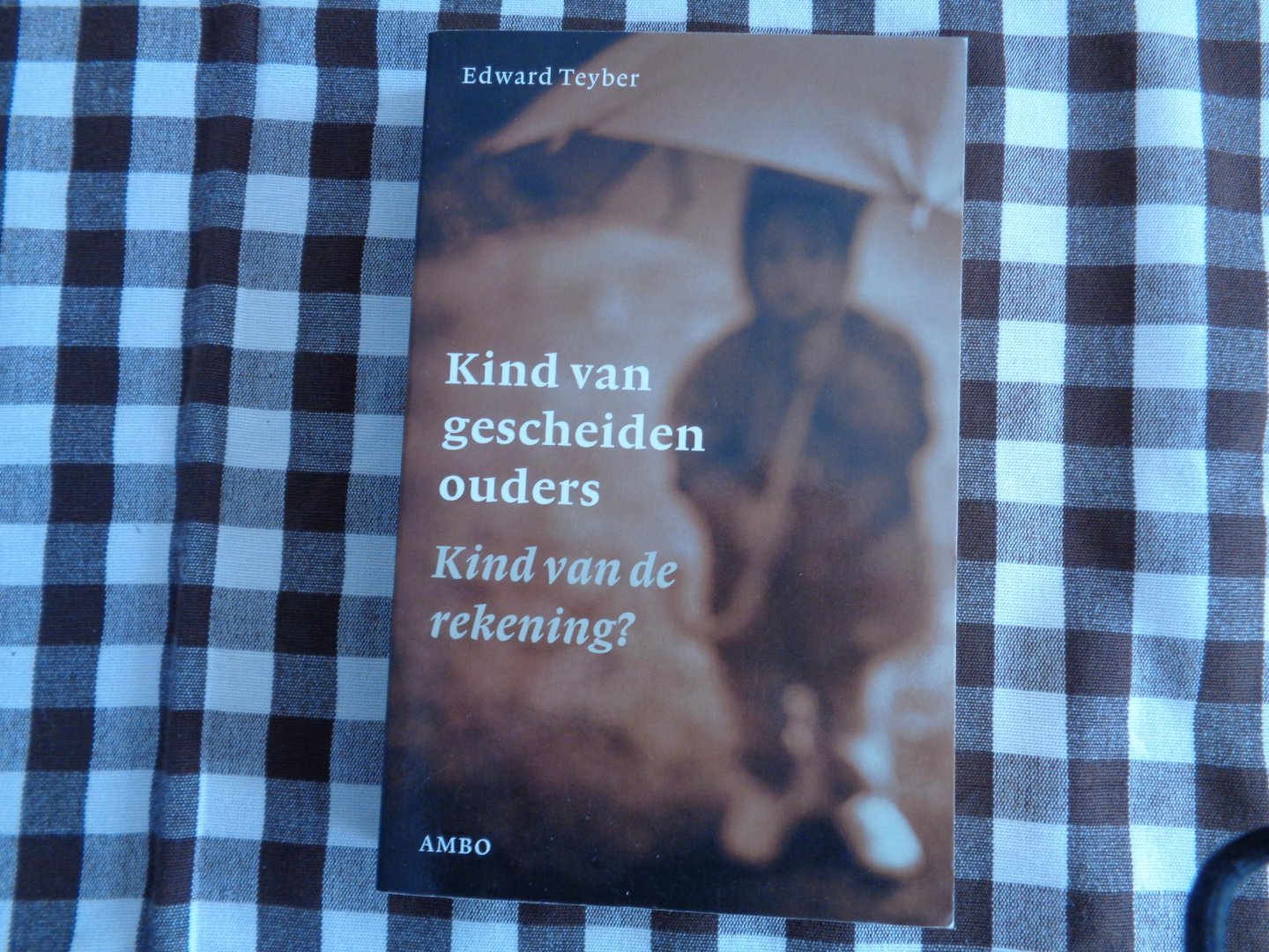 edward teyber - Kind van gescheiden ouders