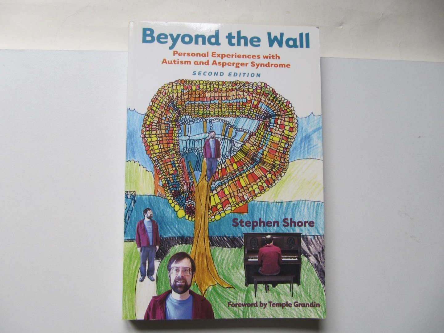 Shore, Stephen M. - Beyond the Wall / Personal Experiences with Autism and Asperger Syndrome