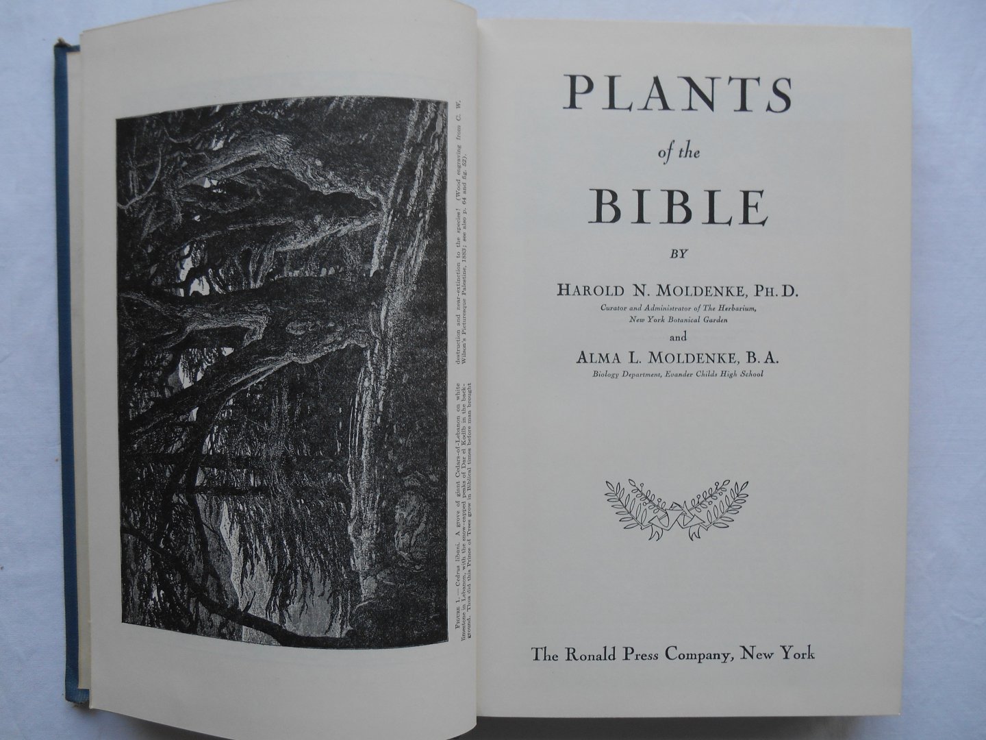 Harold N. Moldenke & Alma L. Moldenke - Plants of the Bible