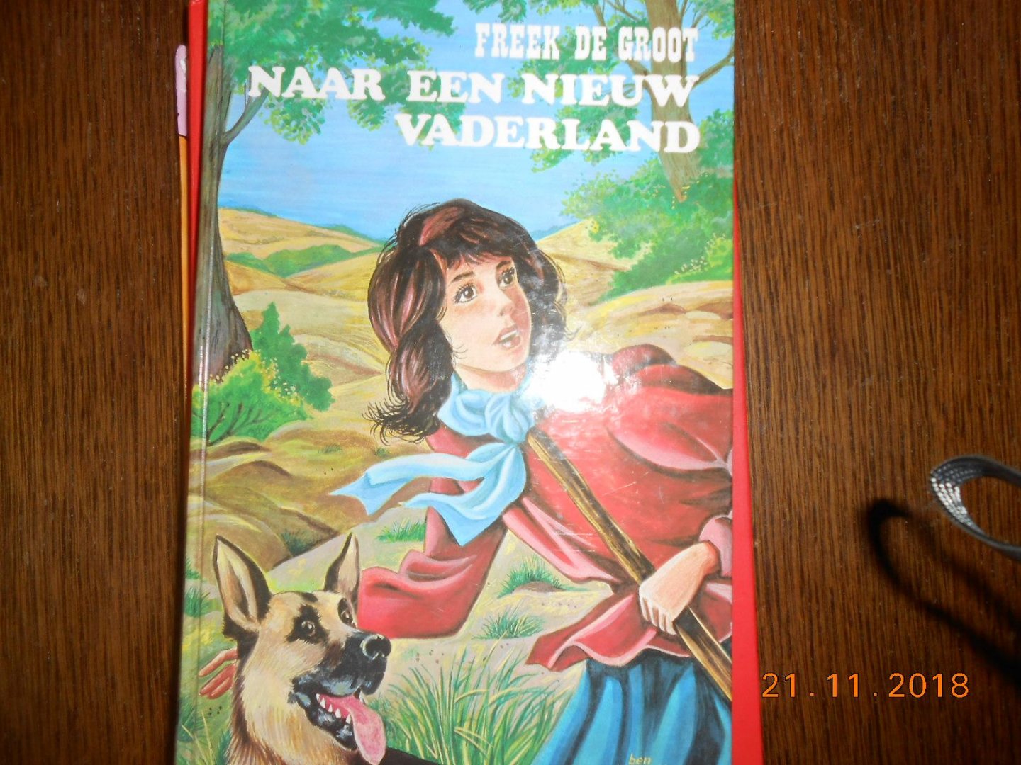 Freek de Groot - Naar een nieuw vaderland
