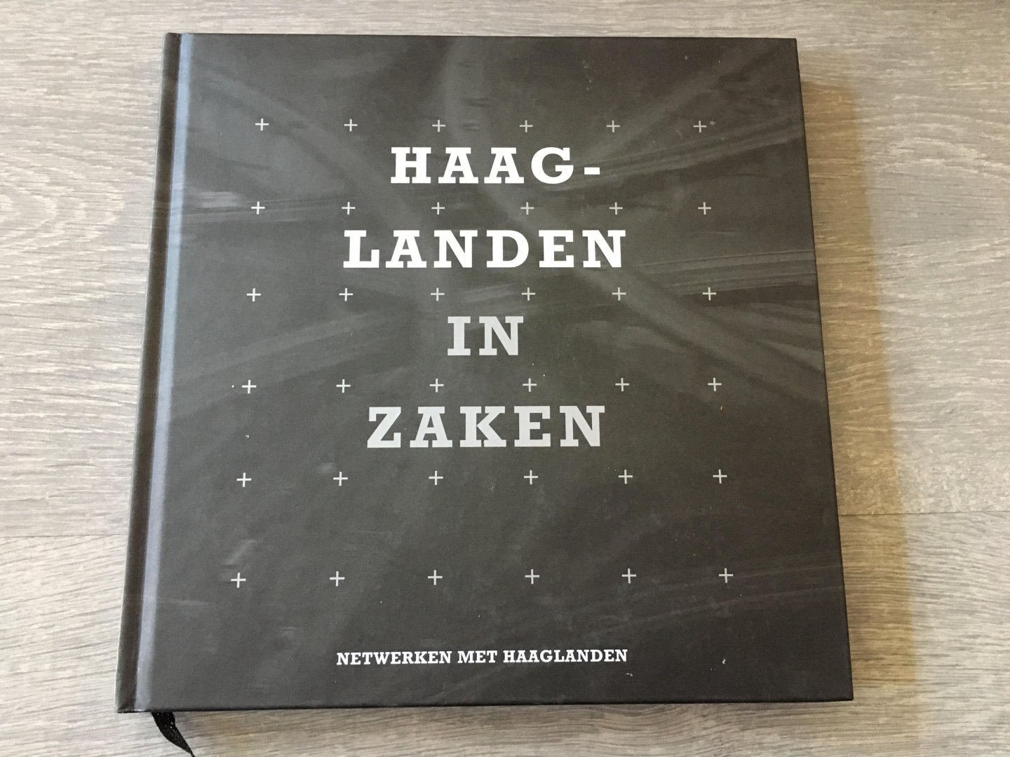 Directie; Leo van Berkom - Haaglanden in Zaken