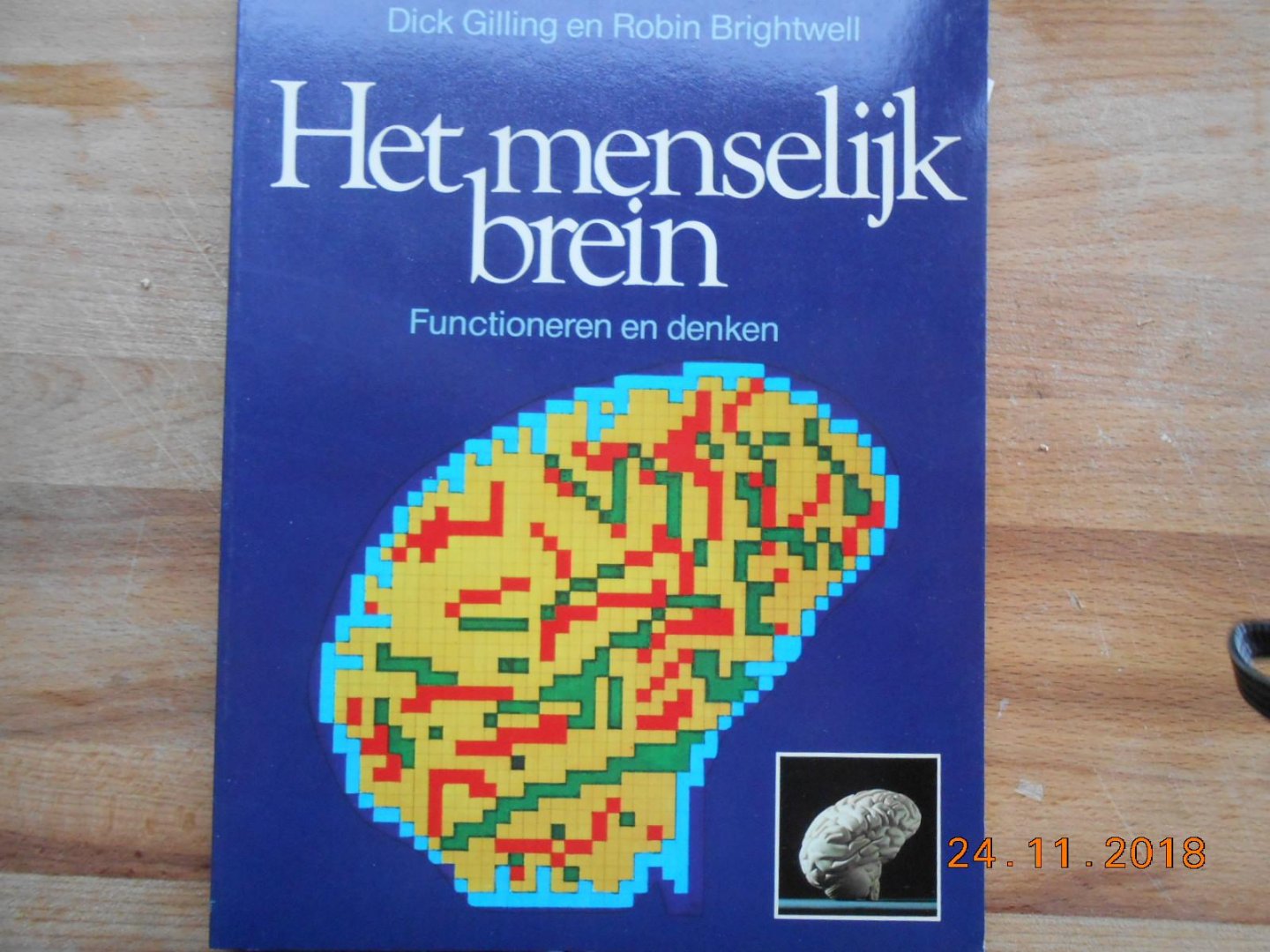 Dick Gilling & Robin Brightwell - Het menselijk brein