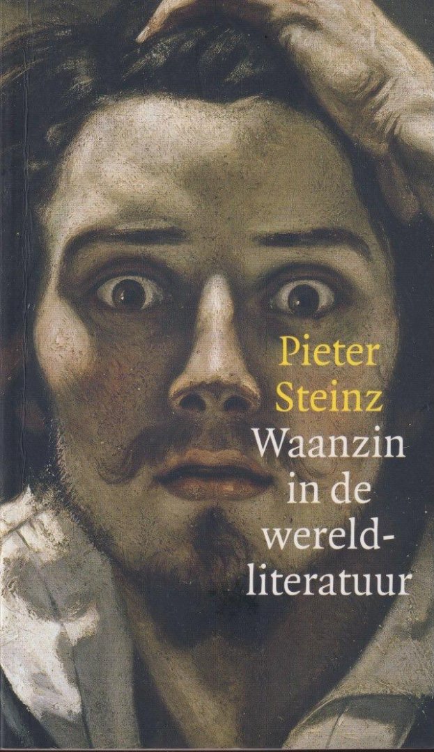 Steinz, Pieter - Waanzin in de wereldliteratuur
