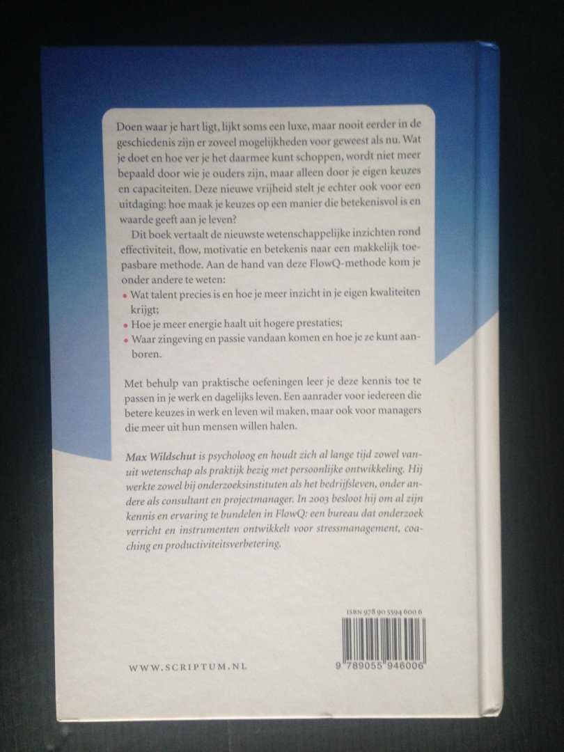 Wildschut, Max - Optimum punt, De wetenschap van effecitiviteit en geluk- een praktische gids en methode