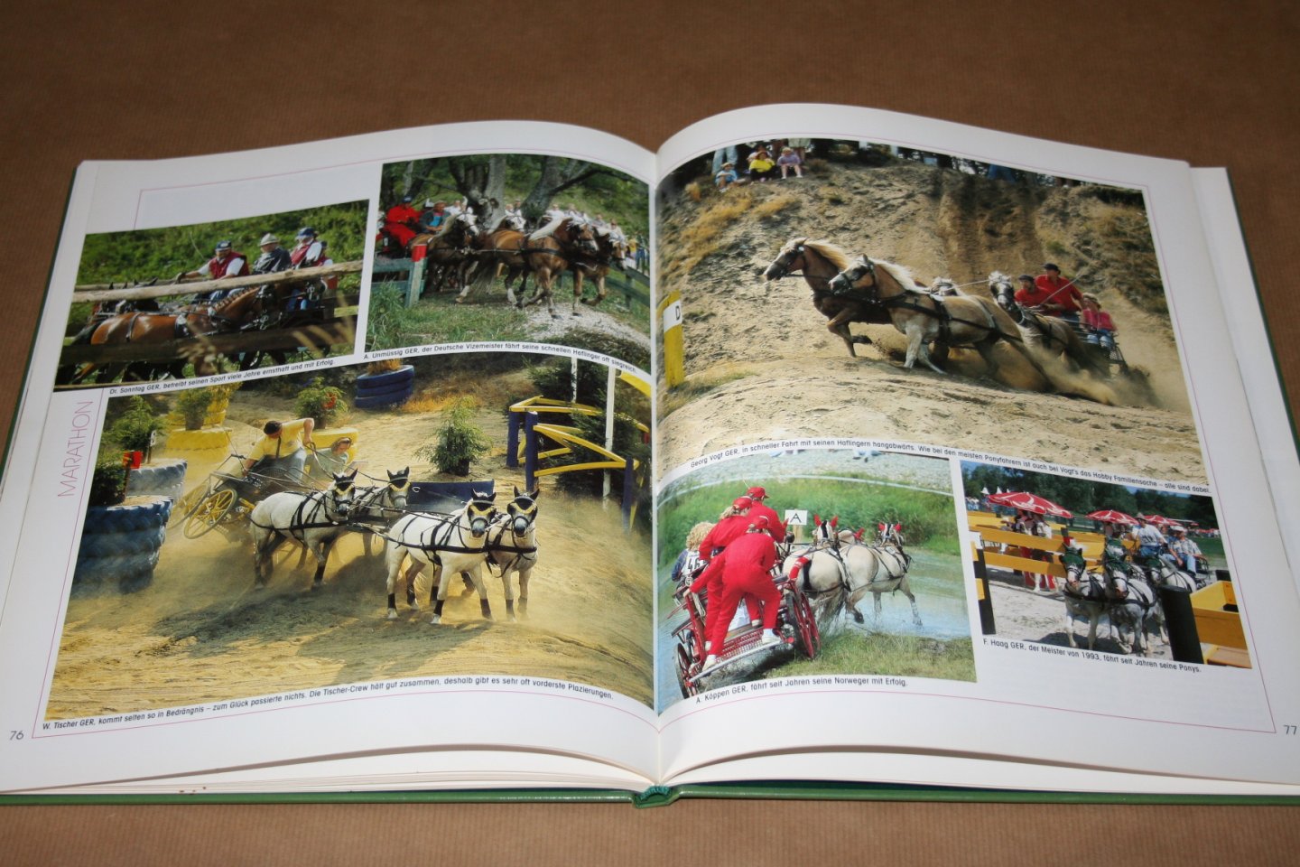 Erich Hermann - Faszination Fahren-- Erlebnis Fahrsport