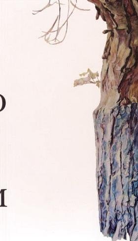 NIJKAMP, JET. - Boom.