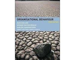 Marc Buelens - Organisational Behaviour
