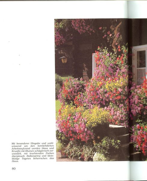 Mair, Walter .. Mit viel Farbbildern und Illustrationen  von Elke Staller - Blumenschmuck am Haus