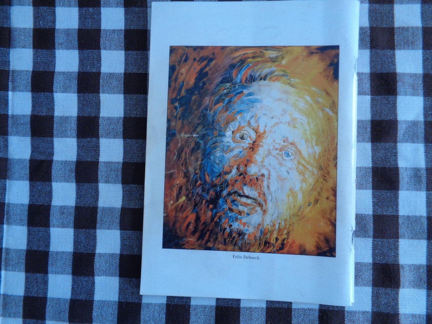 louis haegemans - historische damiaanstoet