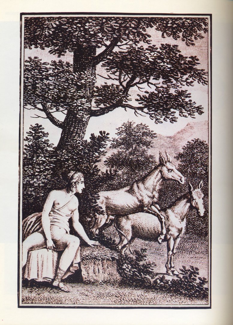 Kearney - Geschiedenis van de erotische literatuur (vertaling: Ernst van Altena)