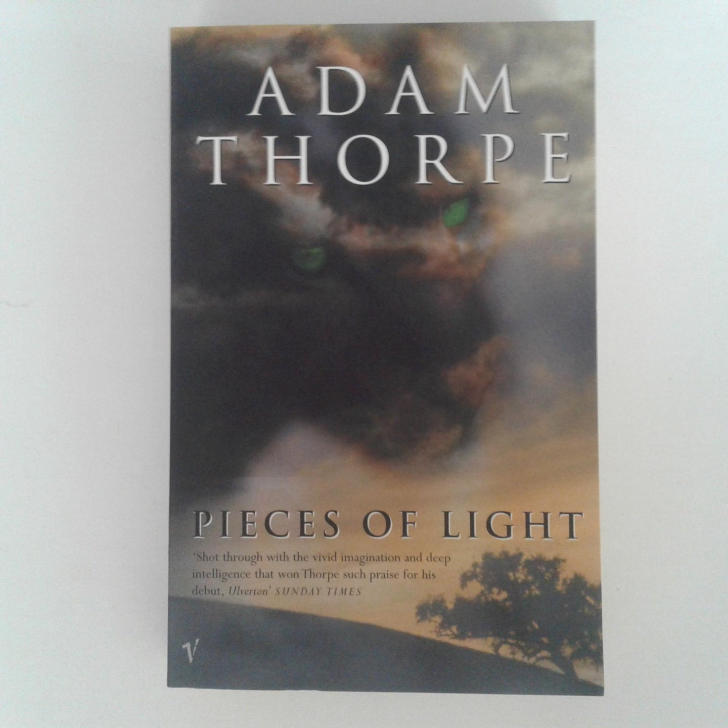 Thorpe, Adam - Pieces of Light
