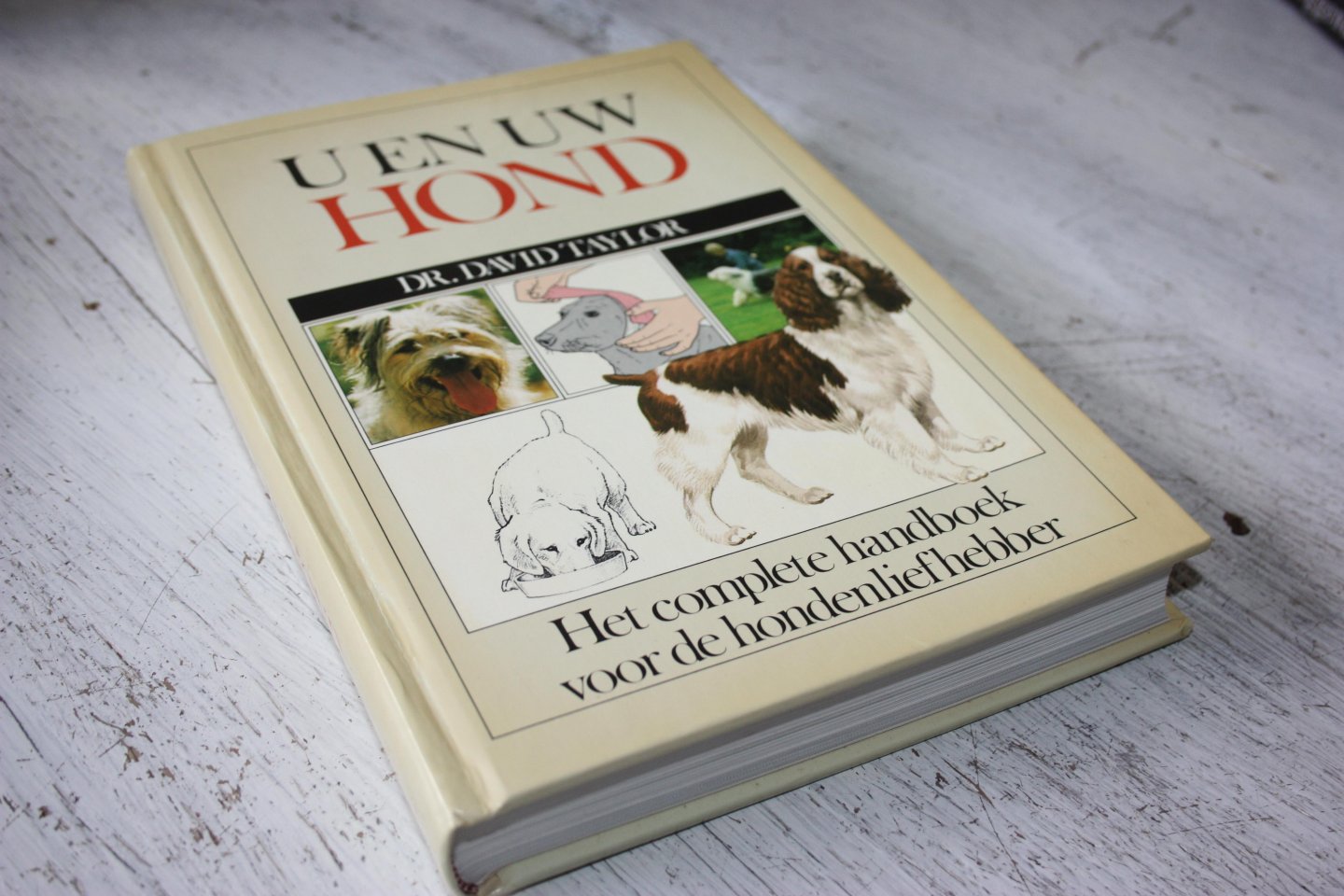 Taylor, Dr. David - U EN UW HOND