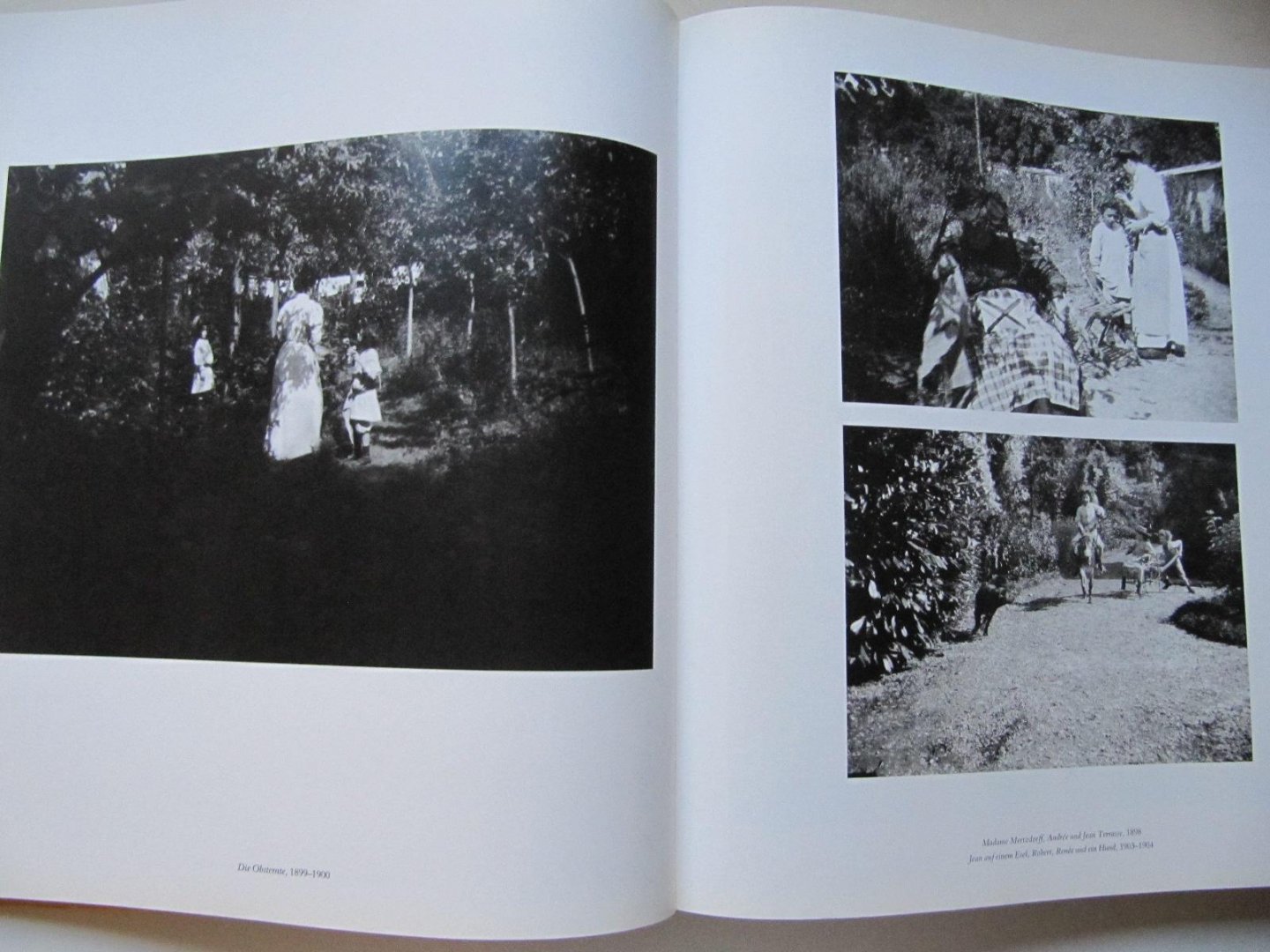 Antoine Terrasse - Bonnard, Leben und Werk