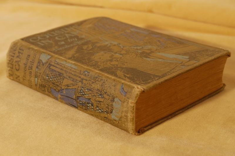 Wilson Wilson Th. - Cousins in camp. A Lakeland tale