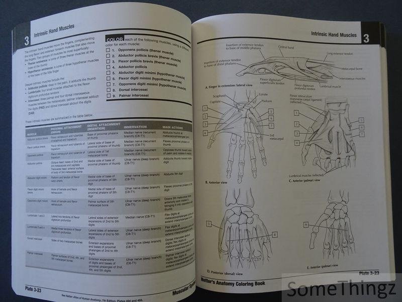 John T. Hansen. - Netter's Anatomy Coloring Book. 2 Updated Edition.