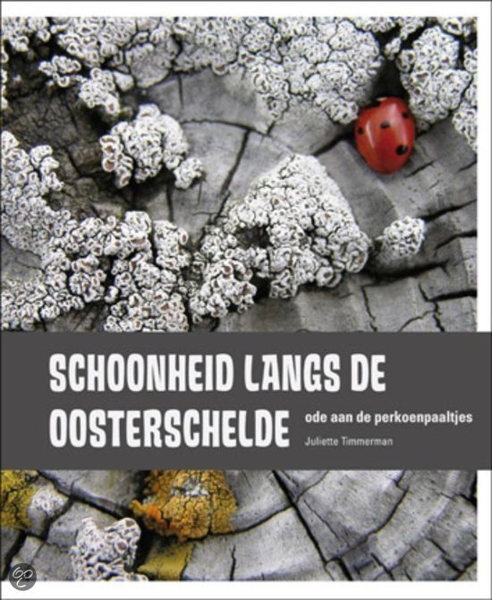 Timmerman, Juliette - Schoonheid langs de Oosterschelde ode aan de perkoenpaaltjes