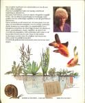 Hofman Ada .. Plaats van de vijver...vijver aanleggen - Het vijver boek ... Praktisch handboek voor aanleg en onderhoud planten en dieren...Biologie en chemie van de vijver .. Zuurstofplanten, Algen Onderwaterplanten, drijfplanten - Oever of moerasplanten, Droge-oeverplanten, Vissen, Vochtminnende ...