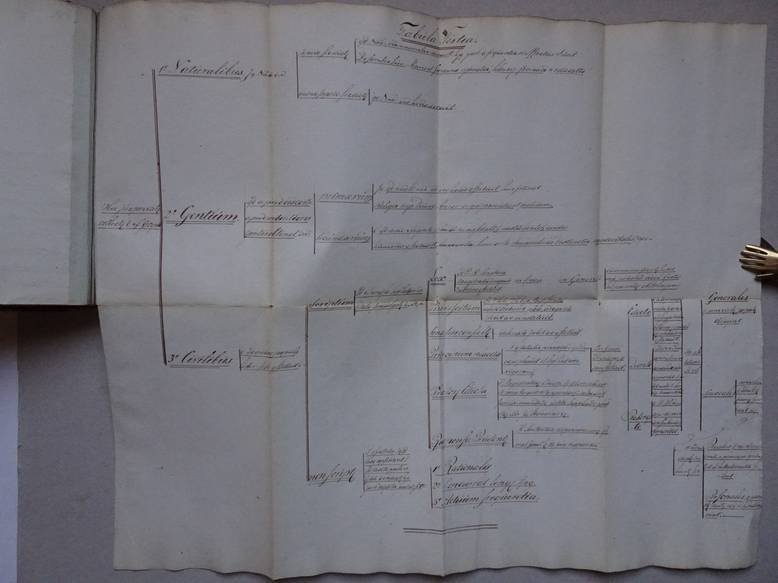  - Fabúlae XII, continentes Divisiones ac definitiones, quae in Divi jústiniani Institútion Libr  Qúatúor inveniúntúr. (Manuscript)