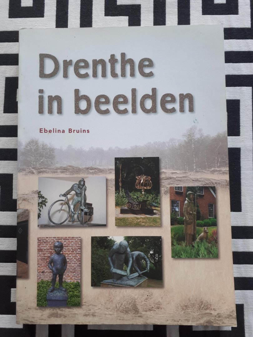 Bruins, Ebelina - Drenthe in beelden / druk 1