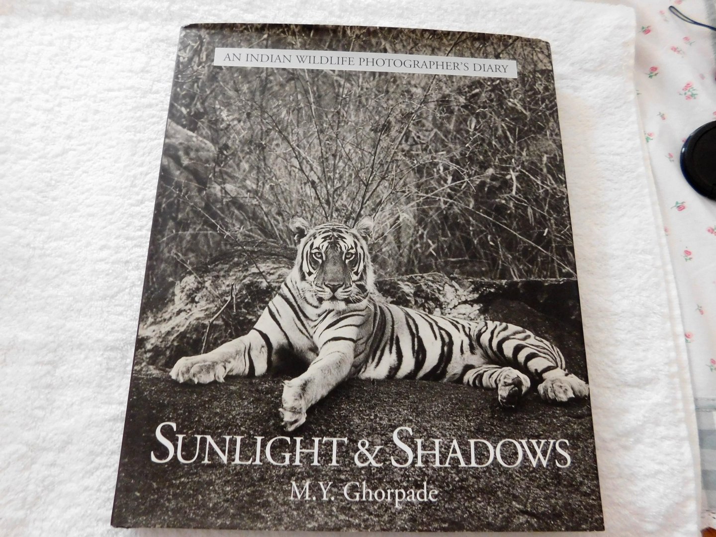 M Y Ghorpade - Sunlight & Shadows