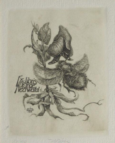 Hieke, Bernd. - Exlibris voor Dr. Inge Nechwatal.