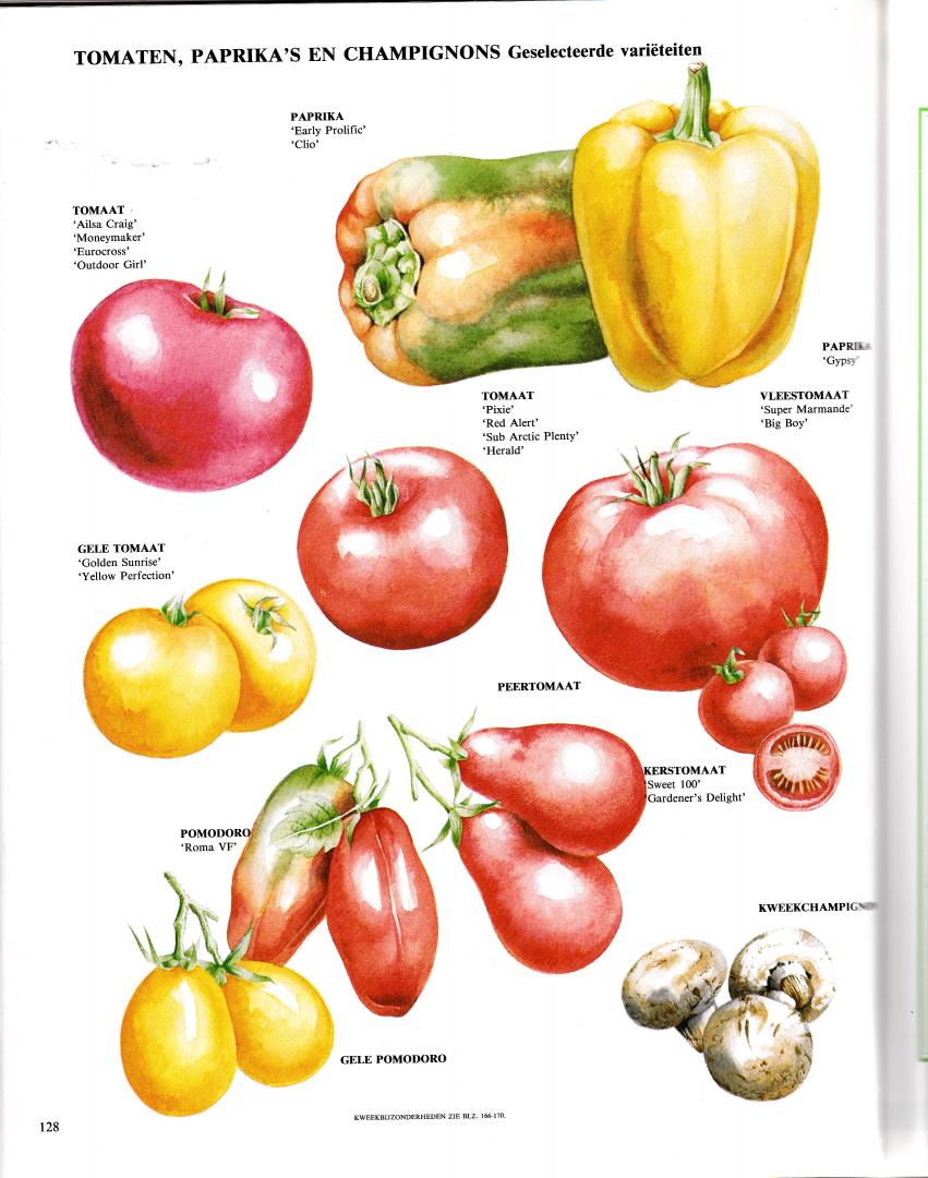 Saulles, Denys de - Het complete tuinboek. Voor het zelf kweken van groenten, fruit en kruiden.