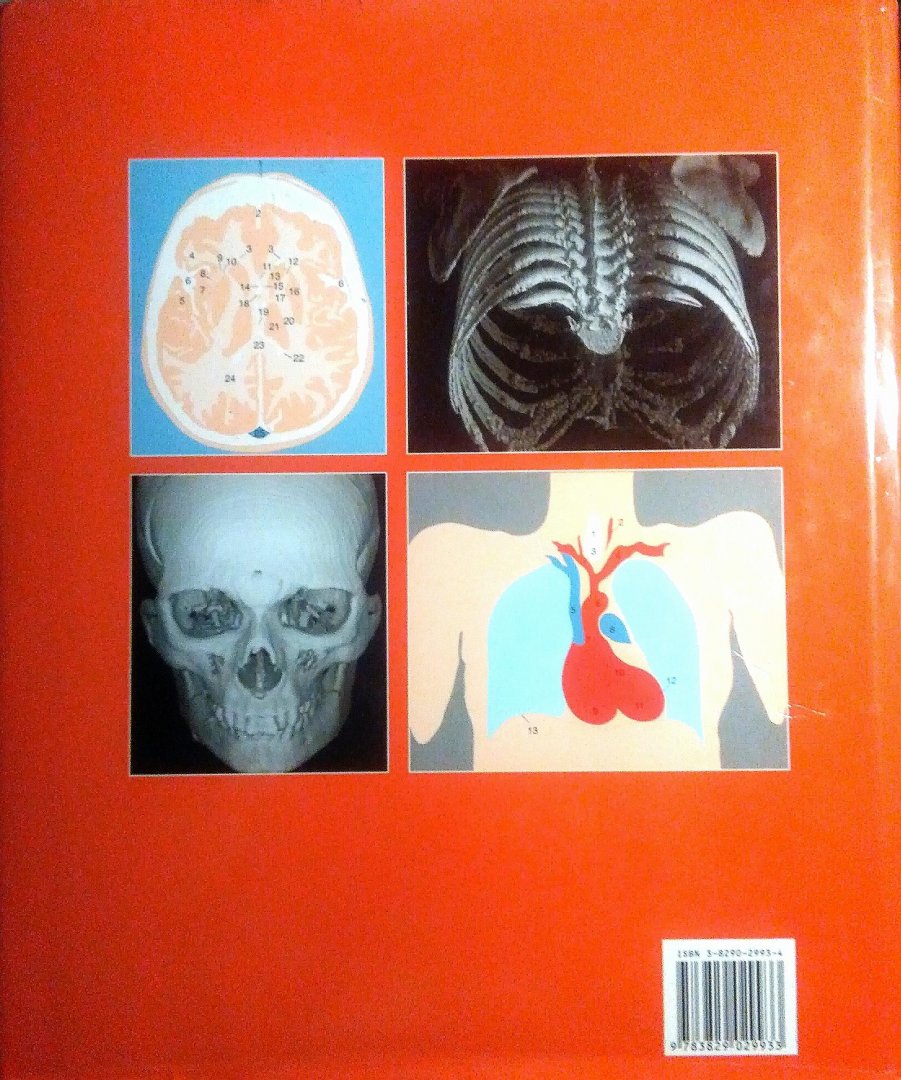 Csillag , Andras .  [ isbn 9783829029933 ] - Anatomie van de Levende Mens . ( Atlas van medische beeldvorming vertegenwoordigt een nieuwe en eigentijdse benadering van het onderwijs in de humane anatomie, waarbij anatomische details getoond worden op afbeeldingen die verkregen zijn met -
