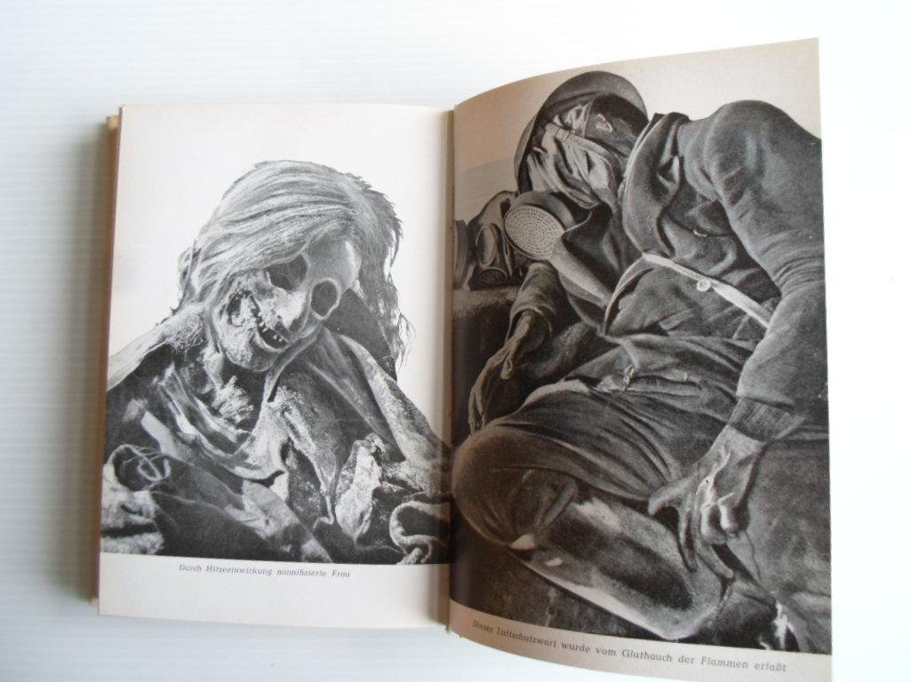 Rodenberger, Axel - Der Tod von Dresden, Ein Bericht über das Sterben einer Stadt