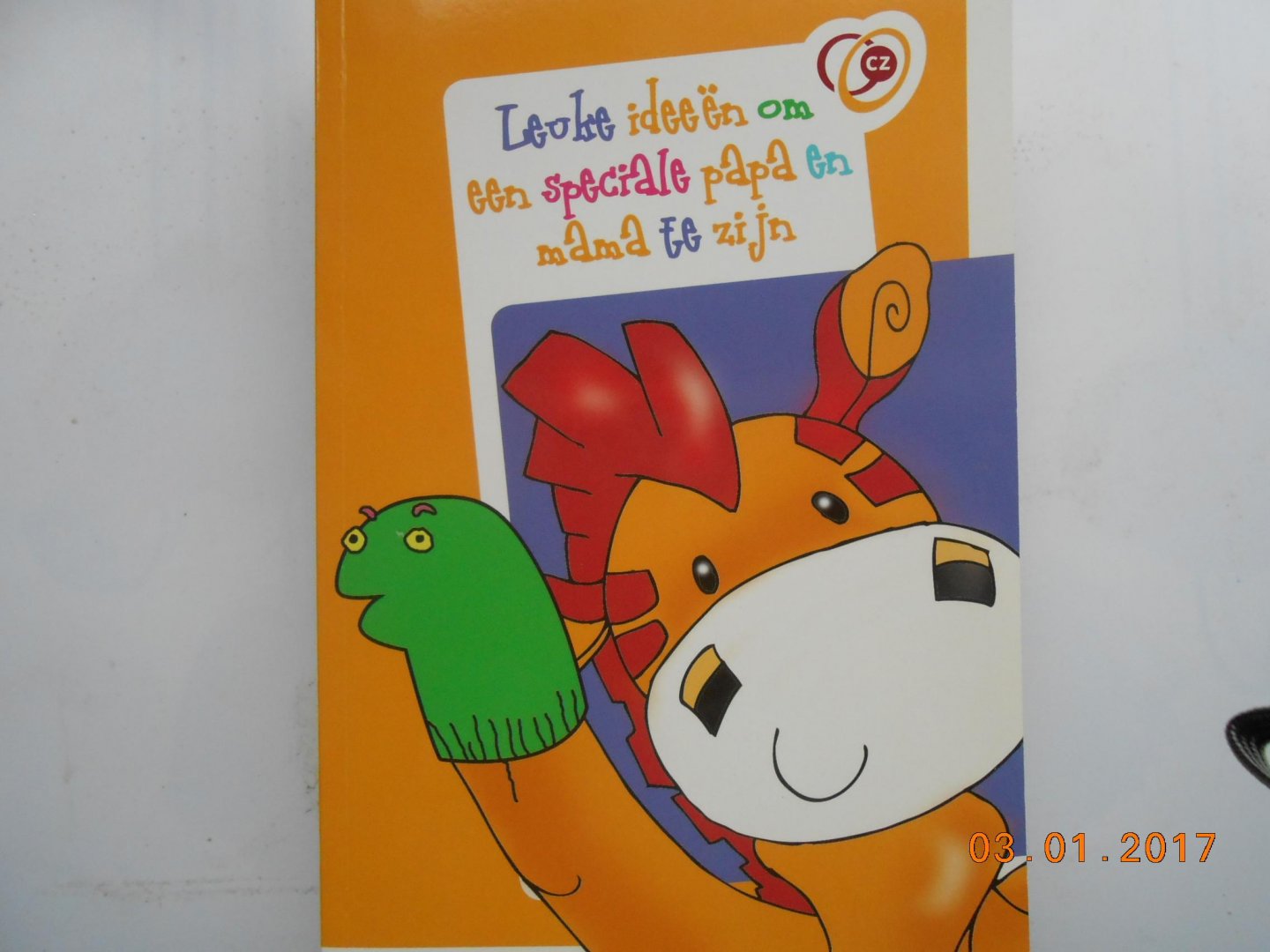  - Leuke ideeen om een speciale papa en mama te zijn