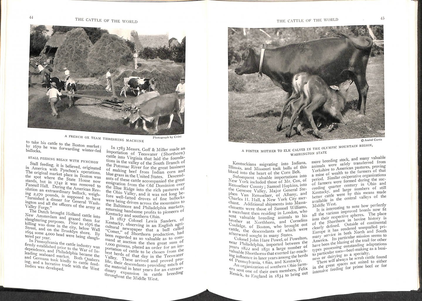 Sanders, Alvin Howard - The cattle of the world. Their place in the human scheme - wild types an modern breeds in many lands