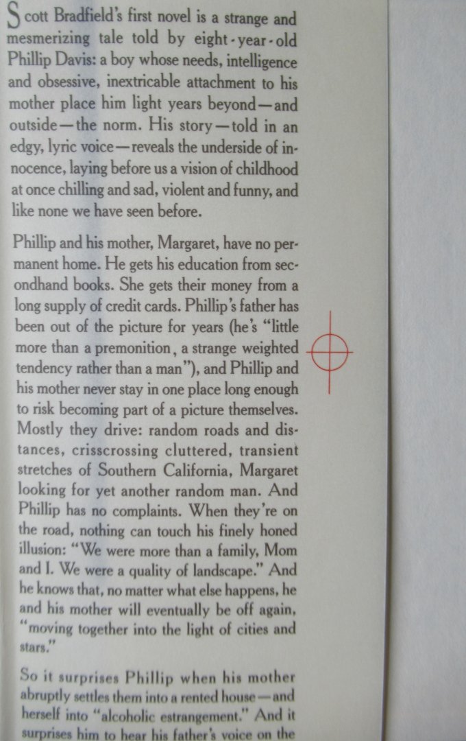 Bradfield, Scott - The history of luminous motion